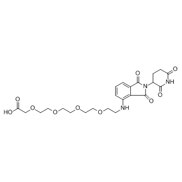 E3 Ligase Ligand-Linker Conjugates 1图片