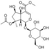 Phlorigidoside B图片