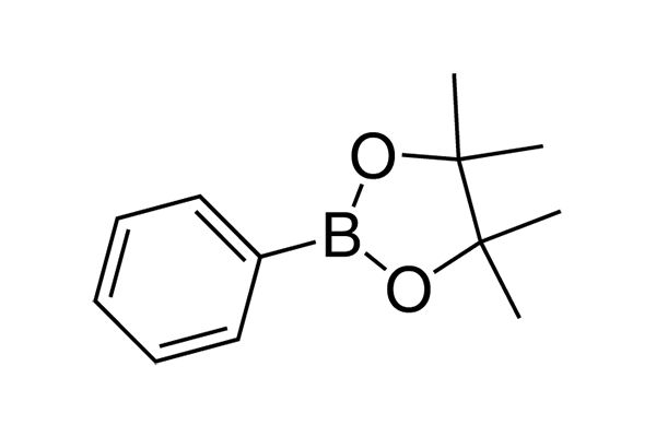 (4,4,5,5-Tetramethyl-1,3,2-dioxaborolan-2-yl)benzene图片