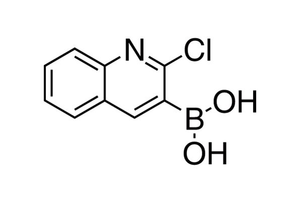 2-Chloroquinoline-3-boronic acid图片