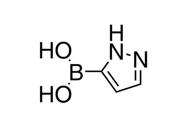 1H-Pyrazole-5-boronic acid图片